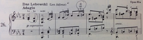 the opening of Beethoven's Sonata No. 26, Op.81a; I have circled the Incomplete Motive and the Turn