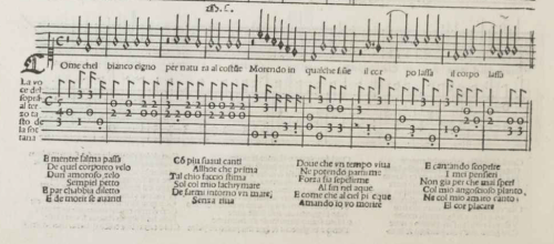 'Come chel bianco cigno' from 'Tenori e contrabassi intabulati etc.' (Bossiniensis) published by Petrucci in 1509.